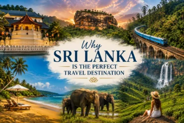 Why Sri Lanka Should Be Your Next Travel Destination