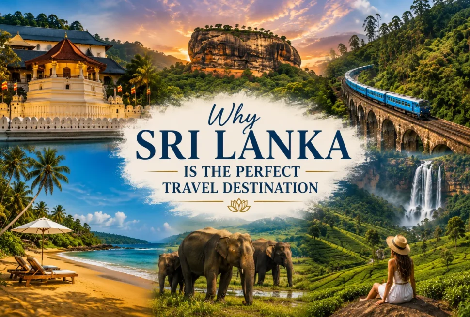Why Sri Lanka Should Be Your Next Travel Destination